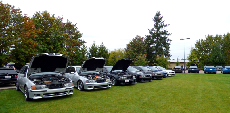 so many m5 wagons, swaps of course